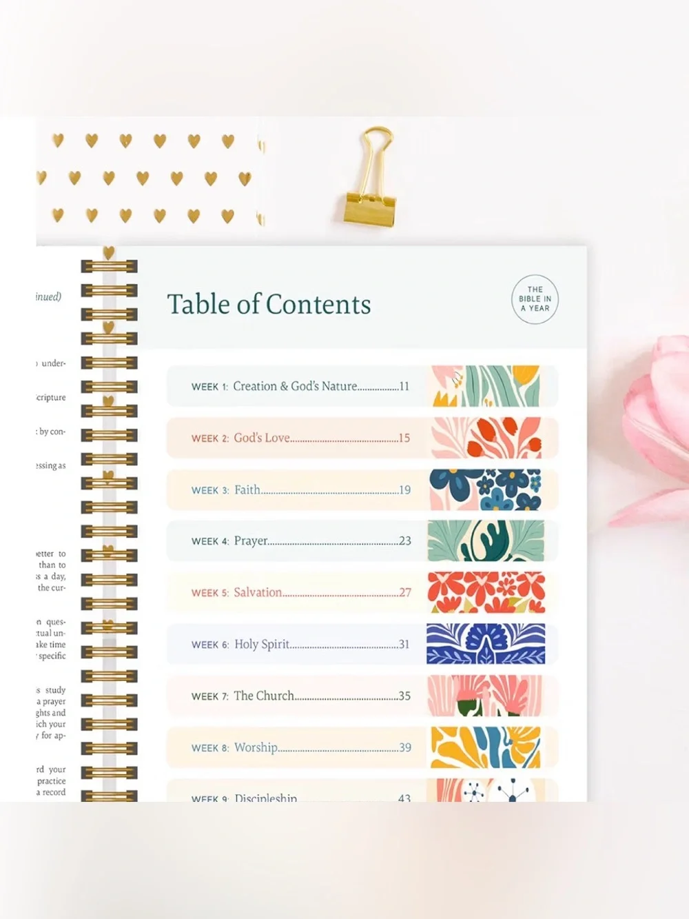 The Bible in a Year Spiral Journal - Pastel Floral